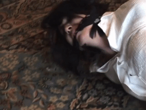 ginaraemichaels.com - The sock intruder thumbnail